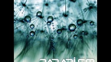 Paradigm – Drops