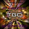 Timewarp Goa Chronicles 004 (Goa Trance Set With Guest Mix Nostromosis)
