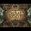 Tribal Roots Vol 1 (Mixed By Astral Projection)