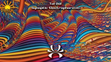 Toi Doi – Spiral Dive Remix
