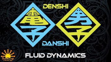 Denshi Danshi – A Fast Trip Straight Down The Ladder