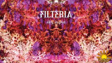 Filteria – The Snuggling Snail