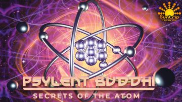 Psylent Buddhi – Lunar Core