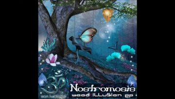 Nostromosis – Mowgli