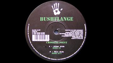 Bushflange ‎– Moog Out