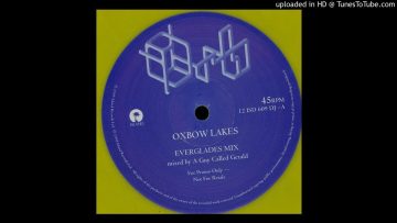 The Orb – Oxbow Lakes (Everglades Mix by A Guy Called Gerald)