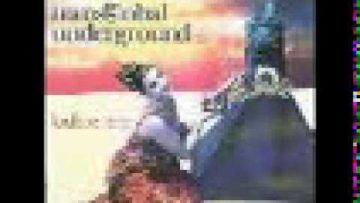 Transglobal Underground – Lookee here (dread zone mix)