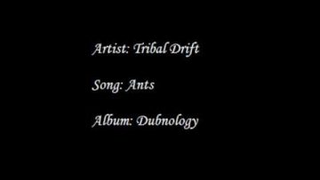 Tribal Drift – Ants