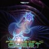 Psychedelic Quest – Unusual Chemistry (timewarp040 / Timewarp Records) ::[Full Album / HD]::