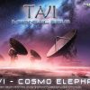 Tavi – Cosmo Elephant [Timewarp Official]
