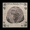 African Melodica Dub – Spanish Border (-8)