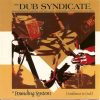 Dub Syndicate – Hi-Fi gets a pounding pts. 1