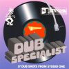 Dub Specialist – 17 Dub Shots From Studio One [FULL ALBUM]