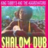 King Tubby and The Aggravators – Shalom Dub (Full Album)