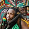 alborosie and steel pulse-steppin out