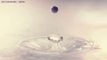 Adi Shankara – Innards