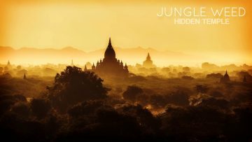 Jungle Weed – Hidden Temple