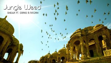 Jungle Weed – Sheila ft. Craig R.Ninjah (Tribute to Sheila Chandra)