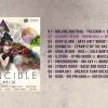 Ackboo – Invincible Remix [Full Album]