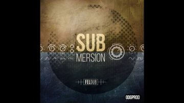 Feldub – The Flying Skanker