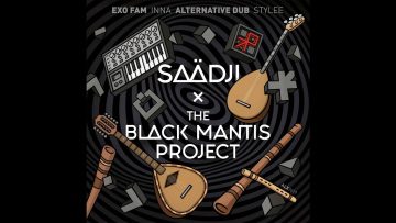 The Black Mantis Project – Stellar Waves (Saadji Remix) #freemusic
