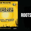 Mexican Stepper – Better Life ft. Sista Bethsabée and Dubdada (Roots Raid Remix)