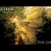 Akasha Experience – Gaia Calling