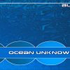 Bluey – Ocean Unknown