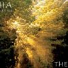 Akasha Experience – The Chain