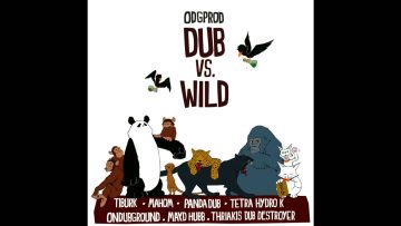 DUB VS WILD [Dub Compilation]