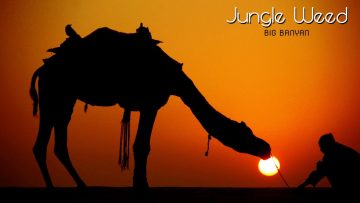 Jungle Weed – Big Banyan