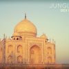 Jungle Weed – Dev Bhoomi
