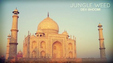 Jungle Weed – Dev Bhoomi