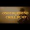 Ondubground x Chill Bump – Shake Dat Ting (Live @ Aucard de Tours)