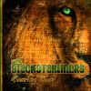 The Blackstarliners – Roaring Lion [Full EP]