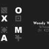 Woody Vibes – Whoop! (feat KDS)