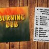 Revolutionaries – Burning Dub (1979) Vinyl FULL ALBUM