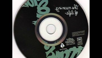 Junior Cony and Shanti D – L.o.v.e (Discomix)