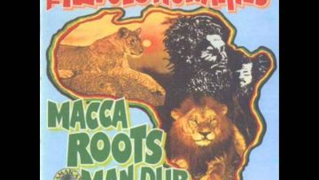 the revolutionaries – seventh day of creation dub.wmv