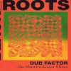 Black Roots 1991 Dub Factor The Mad Proffessor Mixes Dub Express