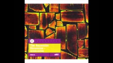 Sound Foundation – Dub Racer