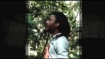 Walker Dub – Junia Walker All Stars