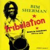 Bim Sherman – Love Forever Dub