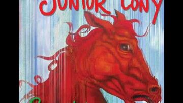Junior Cony – Namibia