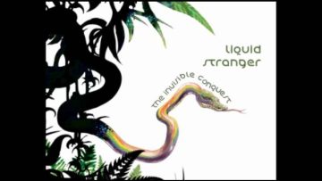 LIQUID STRANGER – DONCAMATIC (DUB)