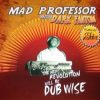 Mad Professor Rude Boy Dub