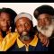 Steel Pulse-Steppin Out