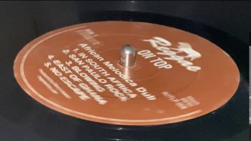 AFRICAN MELODICA DUB ~ In South Africa