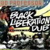 Black Liberation Dub