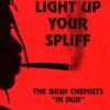 Bush Chemists – Mount Zion I